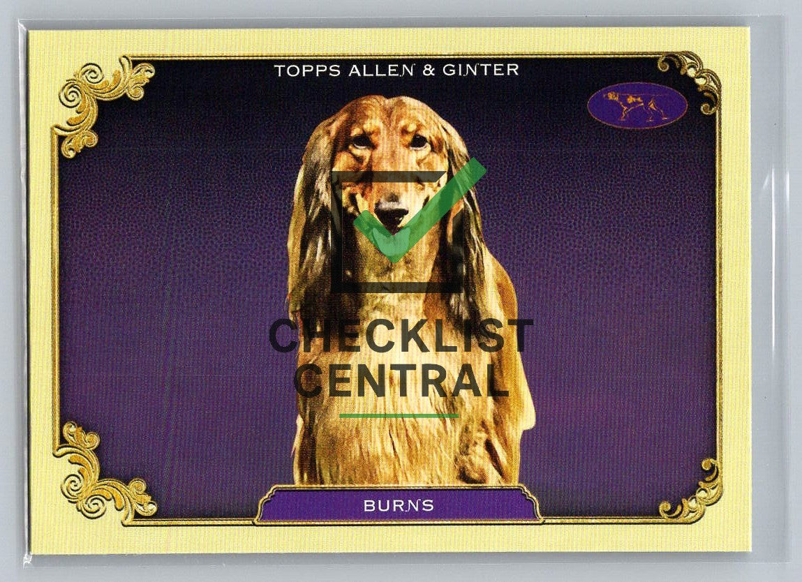 2024 Topps Allen & Ginter Westminster Stars of the Show Burns #SOS-8