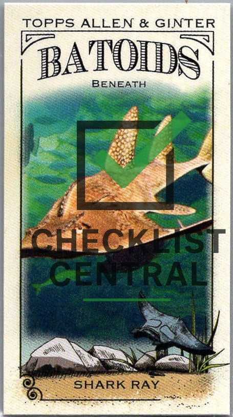 2024 Topps Allen & Ginter Mini Batoids Beneath Shark Ray #RITW-10