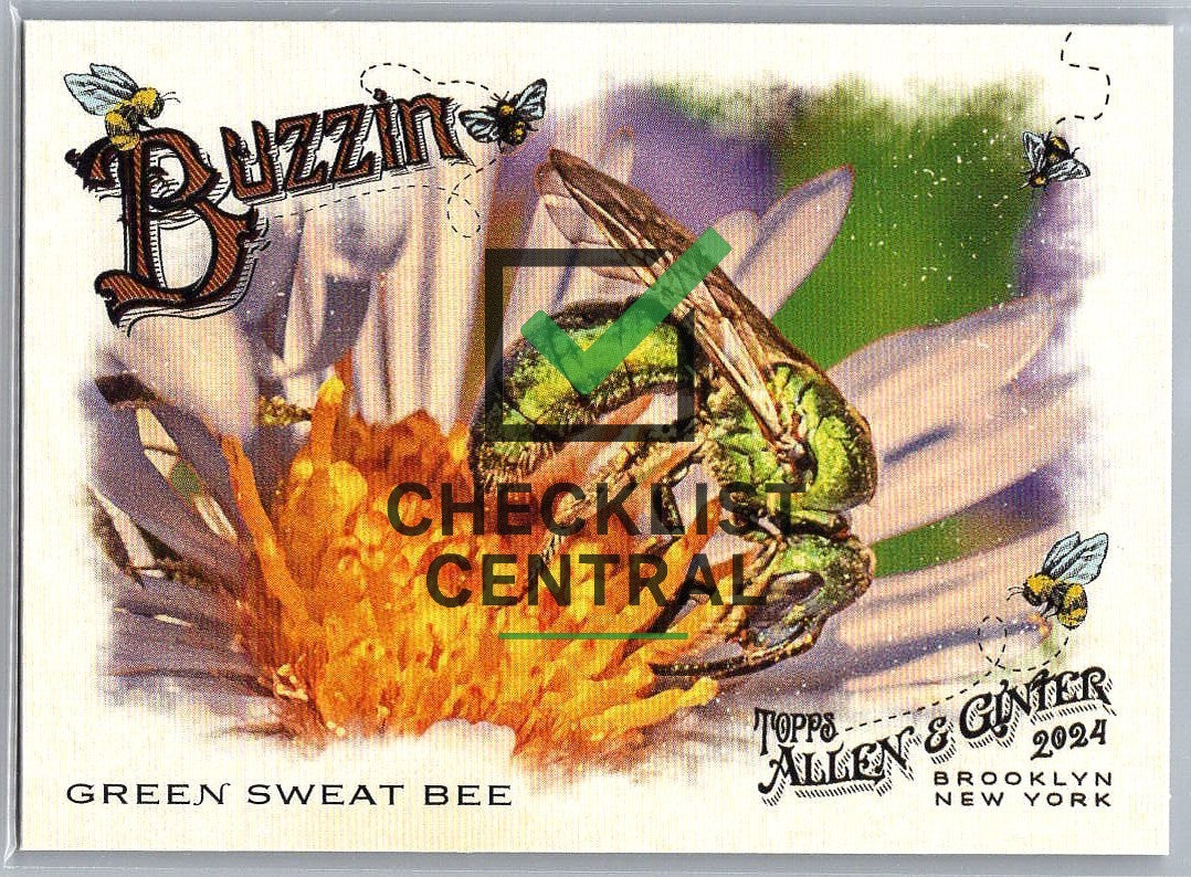 2024 Topps Allen & Ginter Buzzin' Green Sweat Bee #BUZ-8