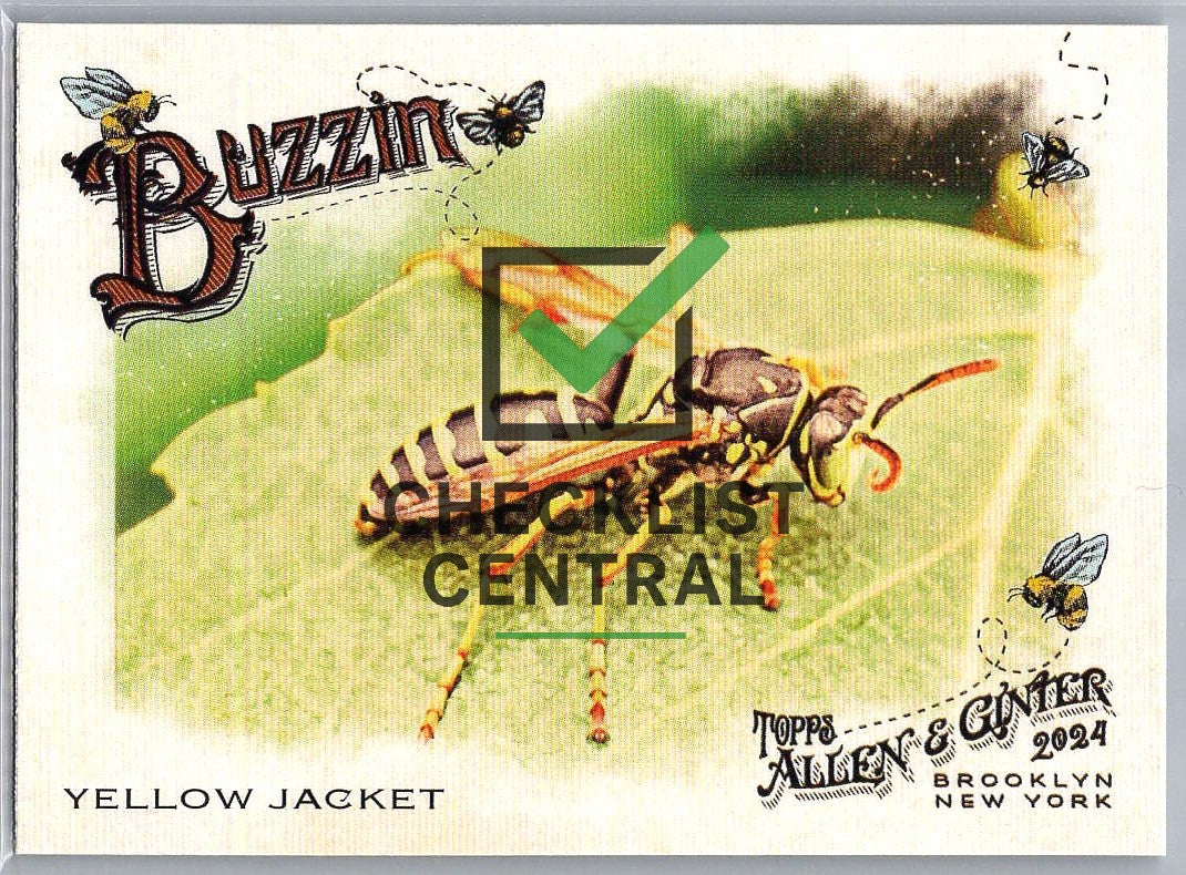 2024 Topps Allen & Ginter Buzzin' Yellow Jacket #BUZ-13