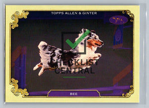 2024 Topps Allen & Ginter Westminster Stars of the Show Bee #SOS-3