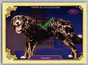 2024 Topps Allen & Ginter Westminster Stars of the Show Truant #SOS-4