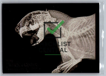 2024 Topps Allen and Ginter X-Rayd Cape Porcupine #XR12
