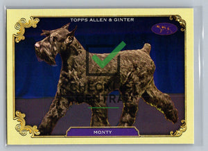 2024 Topps Allen & Ginter Westminster Stars of the Show Monty #SOS-31