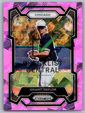 2024 Panini Prizm Prizms Pink Ice Grant Taylor #206