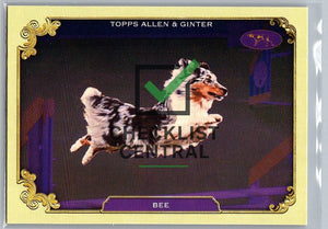 2024 Topps Allen & Ginter Westminster Stars of the Show Bee #SOS-3
