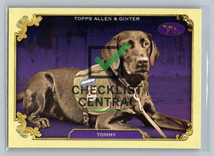 2024 Topps Allen & Ginter Westminster Stars of the Show Tommy #SOS-6