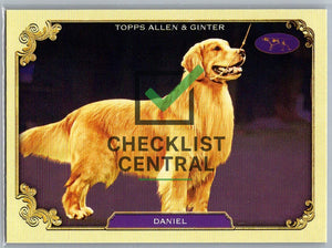 2024 Topps Allen & Ginter Westminster Stars of the Show Daniel #SOS-7