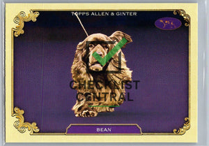 2024 Topps Allen & Ginter Westminster Stars of the Show Bean #SOS-9