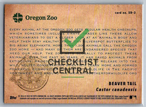 2024 Topps Allen & Ginter X-Rayd Beaver Tail #XR-3