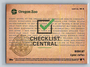 2024 Topps Allen & Ginter X-Rayd Bobcat #XR-8