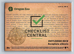 2024 Topps Allen & Ginter X-Rayd Bufflehead Duck #XR-9