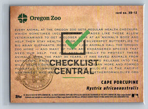 2024 Topps Allen & Ginter X-Rayd Cape Porcupine #XR-12