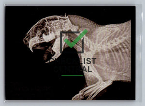 2024 Topps Allen & Ginter X-Rayd Cape Porcupine #XR-12