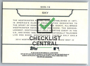 2024 Topps Allen & Ginter Westminster Stars of the Show Sky #SOS-19