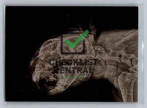 2024 Topps Allen & Ginter X-Rayd Cougar #XR-13