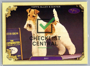 2024 Topps Allen & Ginter Westminster Stars of the Show Sky #SOS-19