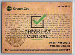 2024 Topps Allen & Ginter X-Rayd Dwarf Mongoose #XR-14