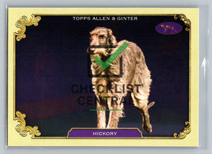 2024 Topps Allen & Ginter Westminster Stars of the Show Hickory #SOS-21