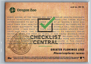 2024 Topps Allen & Ginter X-Rayd Greater Flamingo Legs #XR-16