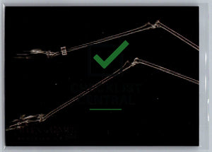 2024 Topps Allen & Ginter X-Rayd Greater Flamingo Legs #XR-16