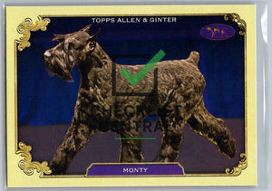 2024 Topps Allen & Ginter Westminster Stars of the Show Monty #SOS-31