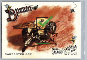 2024 Topps Allen & Ginter Buzzin' Carpenter Bee #BUZ-4