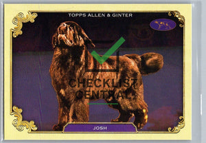 2024 Topps Allen & Ginter Westminster Stars of the Show Josh #SOS-24