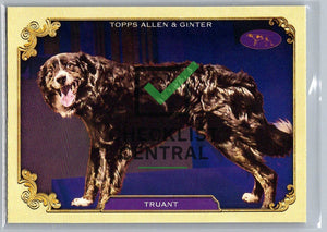 2024 Topps Allen & Ginter Westminster Stars of the Show Truant #SOS-4