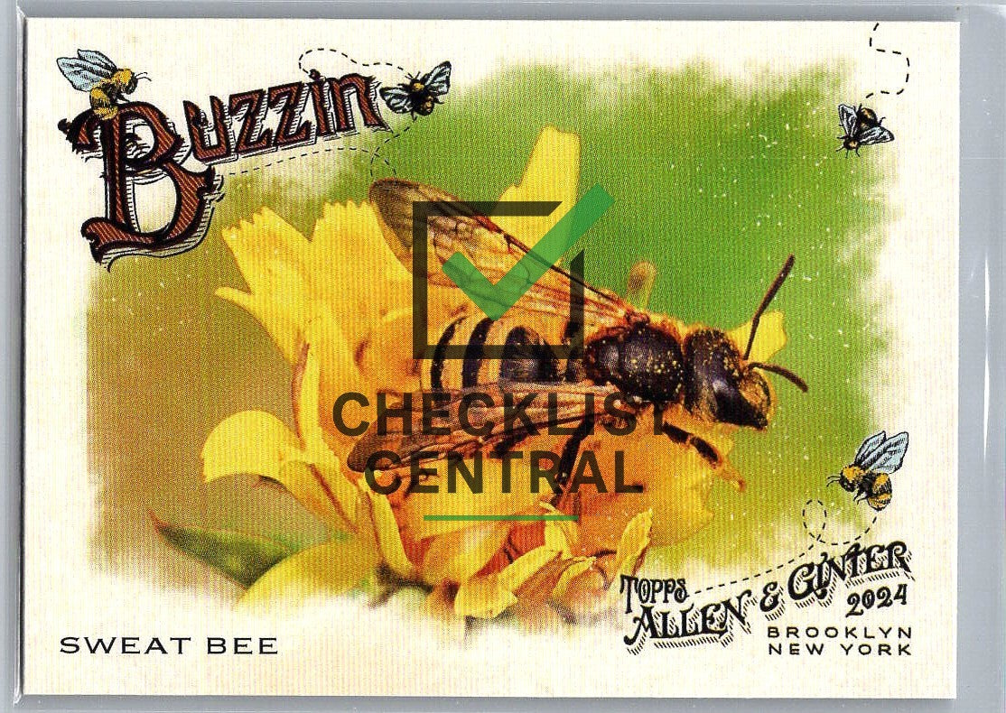 2024 Topps Allen & Ginter Buzzin' Sweat Bee #BUZ-9