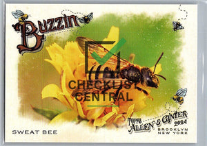 2024 Topps Allen & Ginter Buzzin' Sweat Bee #BUZ-9