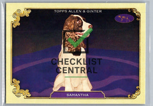 2024 Topps Allen & Ginter Westminster Stars of the Show Samantha #SOS-39