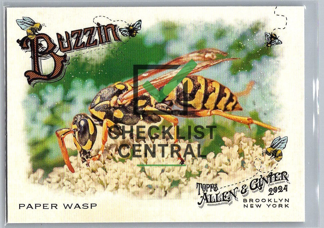 2024 Topps Allen & Ginter Buzzin' Paper Wasp #BUZ-14