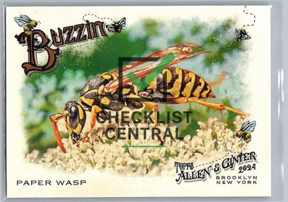 2024 Topps Allen & Ginter Buzzin' Paper Wasp #BUZ-14