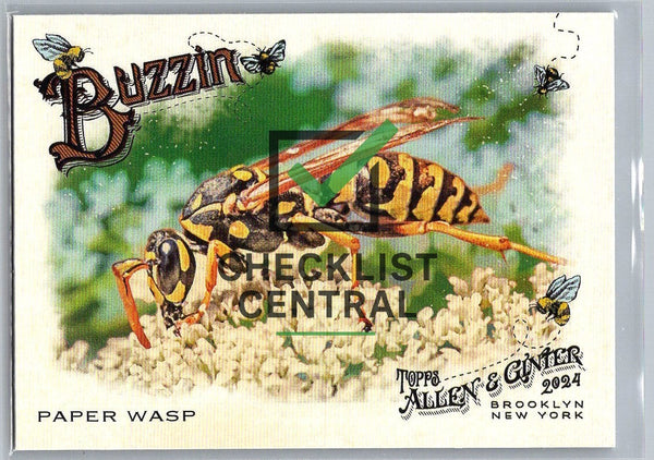 2024 Topps Allen & Ginter Buzzin' Paper Wasp #BUZ-14