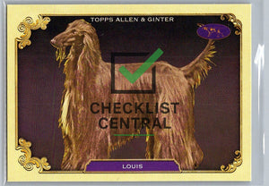 2024 Topps Allen & Ginter Westminster Stars of the Show Louis #SOS-26