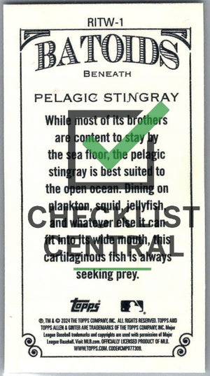 2024 Topps Allen & Ginter Mini Batoids Beneath Pelagic Stingray #RITW-1
