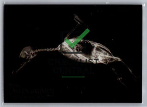 2024 Topps Allen & Ginter X-Rayd Bufflehead Duck #XR-9